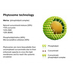 Curcumin Phytosome – kurkumín s vysokou vstrebateľnosťou