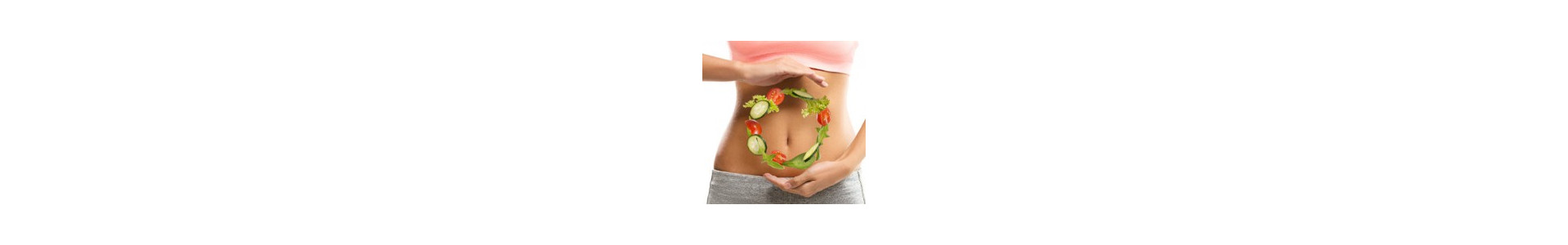 Digestion