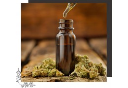 Hemp tincture as a nutritional supplement